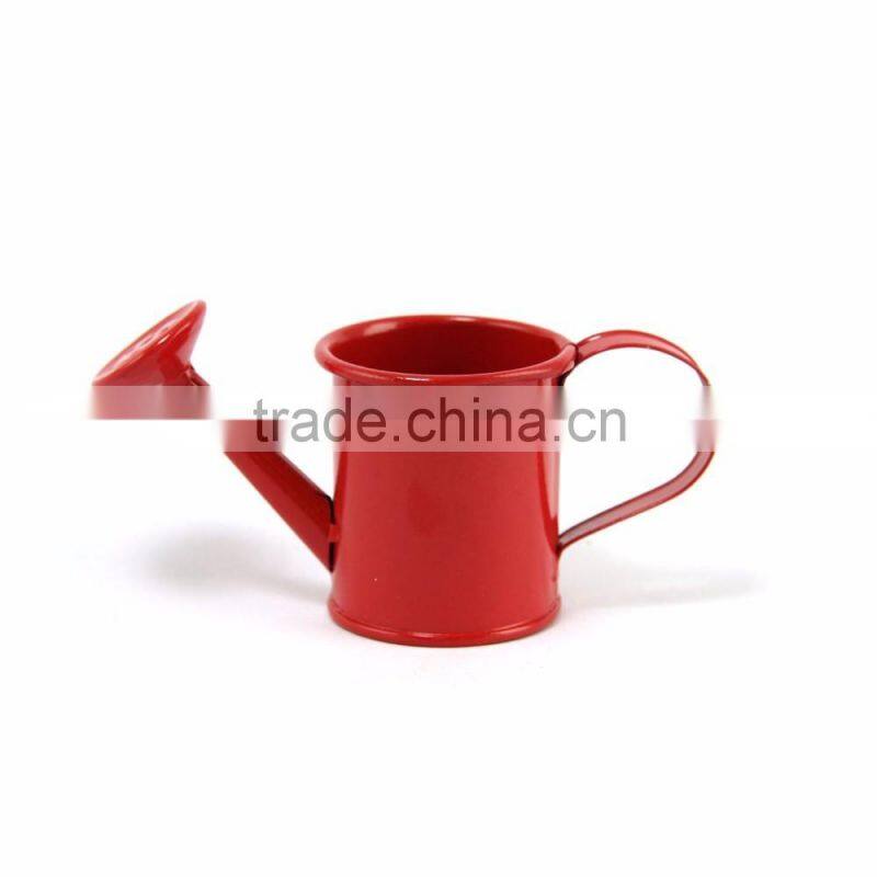 Mini Metal Watering Cans Wedding Party Gift Garden Tools