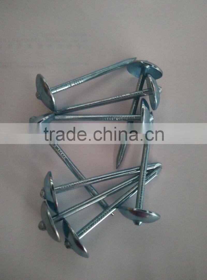 blue galvanized roofing nails to Indonesia