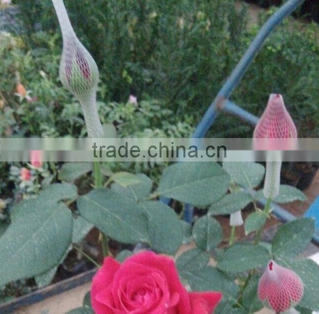 Rose Flower Protective bud Netting