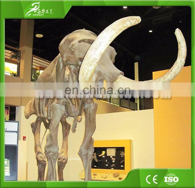 KAWAH Museum Quality Customized Handmade Lifelike Dinosaur Fossil