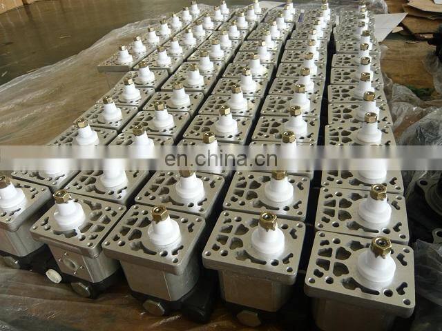 Tractor Parts 5180271 5135887 5167392 Hydraulic Pump Use for Fiat