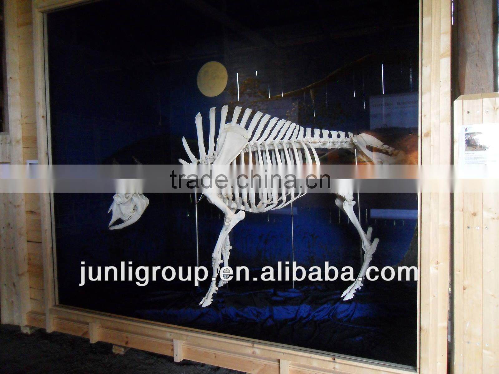 JLDF-G-0026 Hot Sell Fiberglass Bull Skeleton