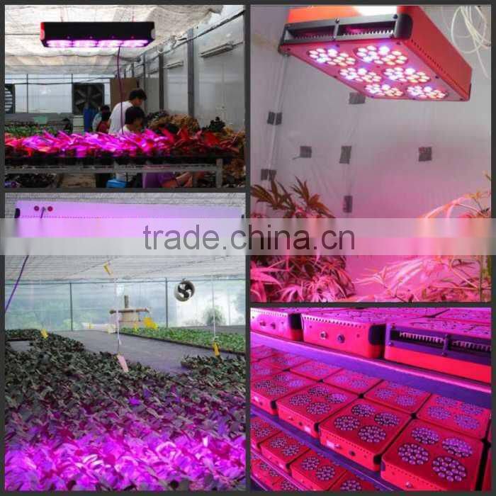 Hangzhou Factory 136w LED Grow Lighting,LED Grow Lights