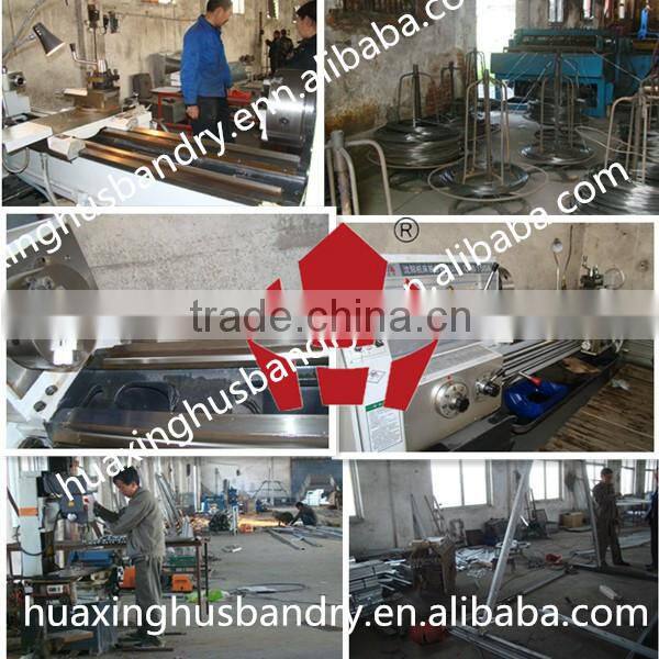 big factory, high quality used poultry battery cages for battery rabbit shed