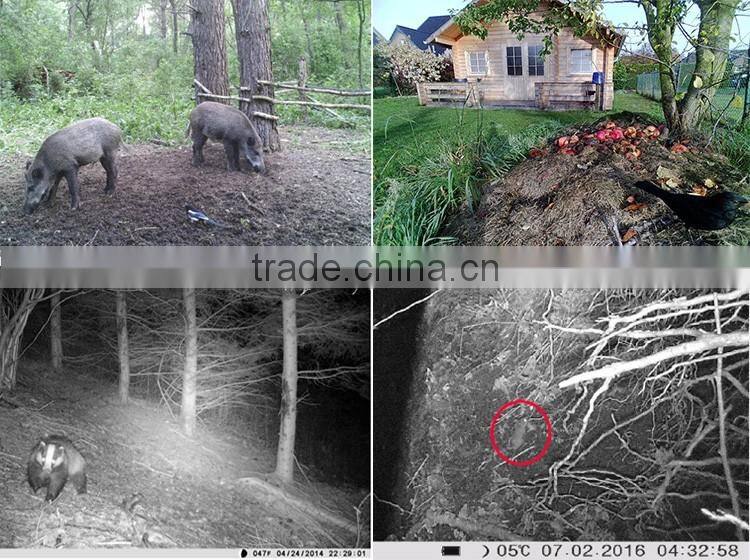 Adjustable PIR range 12-15M deer hunting trail camera with 3G function