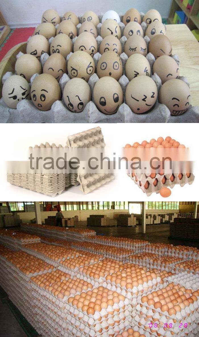 Large Capacity Egg Tray Machine Price For Commercial Use