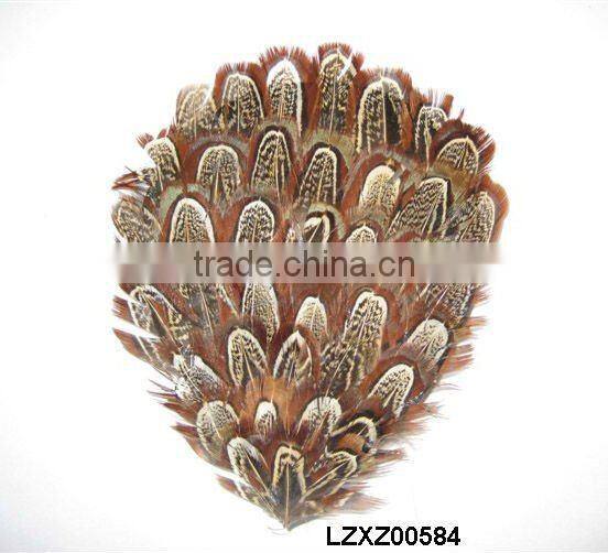 ringneck church window pad LZXZ00584