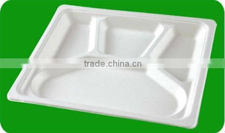 Eco-friendly Sugarcane Bagasse Pulp Tray