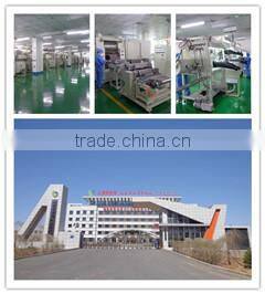 Liyuan supply 48V 60Ah l48v 60Ah LiFePO4 Battery Pack for automotive car, Motorcycles, electric scooter