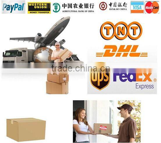 MR16 led driver 12v 3w 300mA constant current