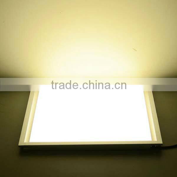 12W Ultra Bright LED Ceiling Panel Down Light Bulb Lamp (110V and 220V )
