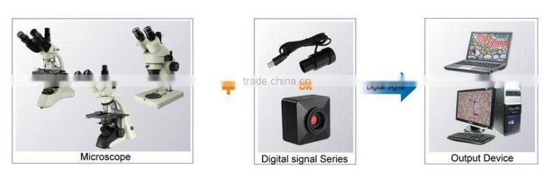 ccd camera price in microscope