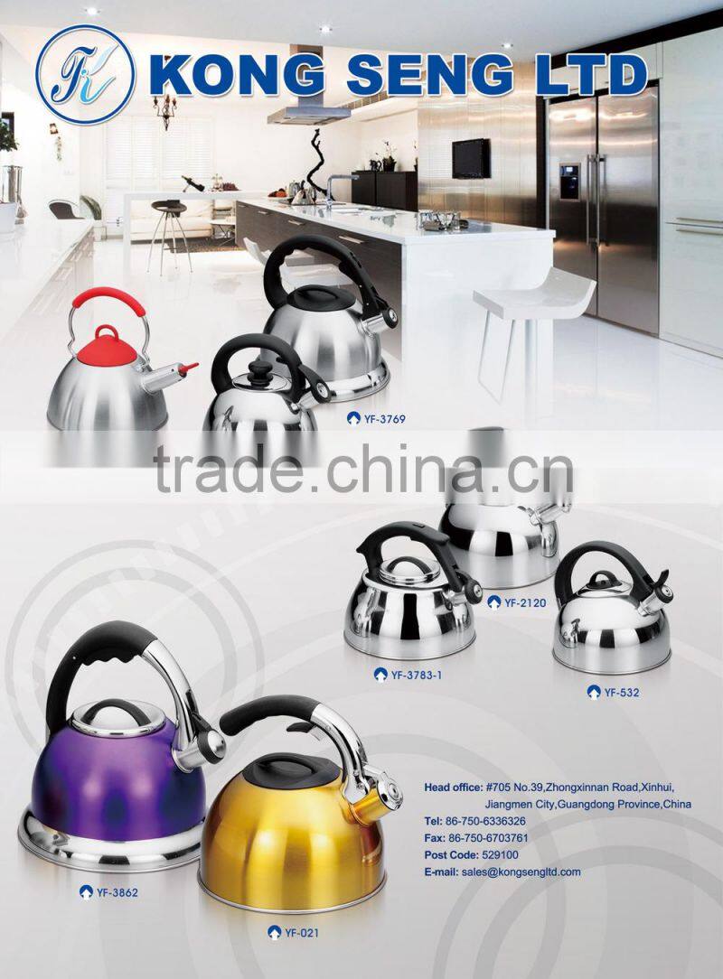 LFGB Tea kettle,Kettle stainless steel