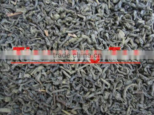 2015 whole leaf Green Tea Young Hyson 8147