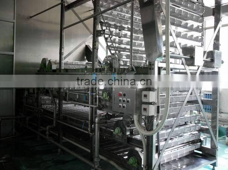 Korean Ramen Noodles