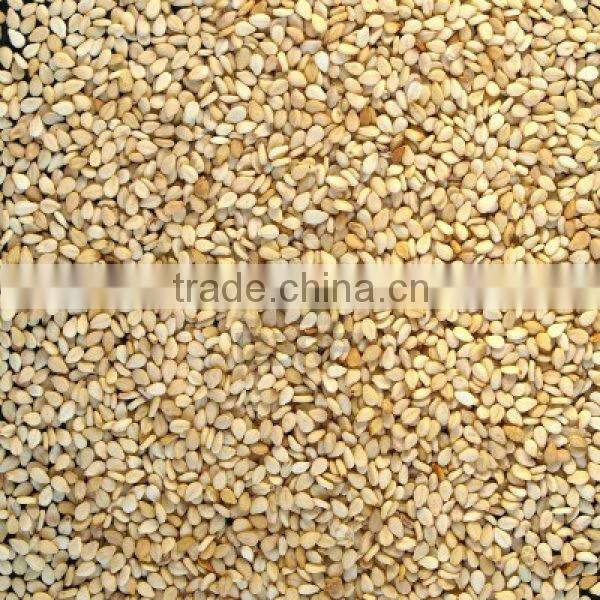 Sesame Seeds