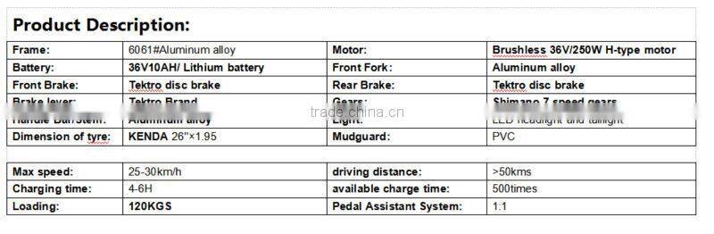 26inch 36V,48V, 250W,500W mountain e-bike with Luxury with fashion Magnesium wheel