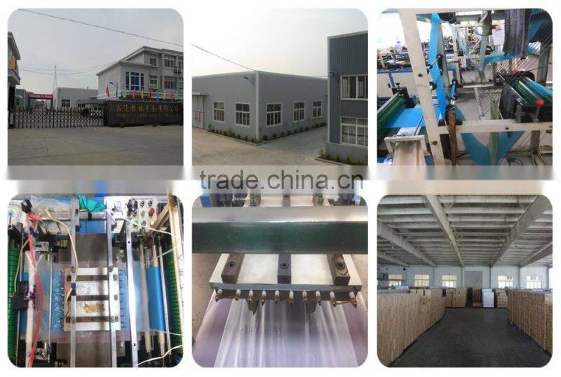 PE Disposable Clear Gloves