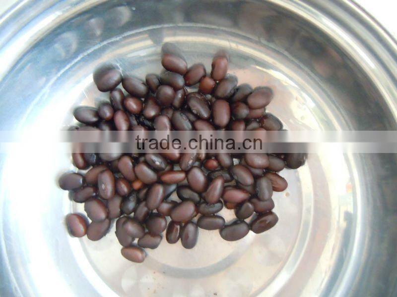 Small Black Kidney Bean