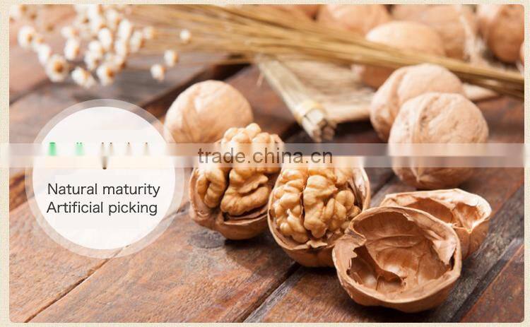 Good price and highly nutritive Walnuts for sale