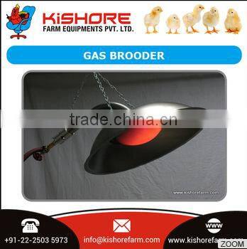 Quality poultry Gas Brooders