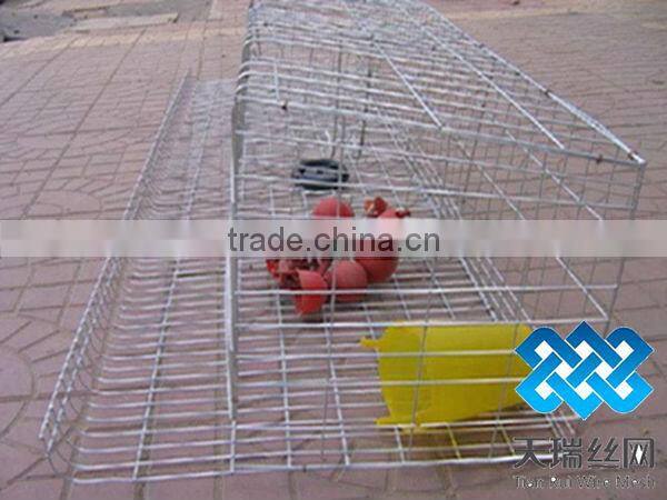 A type 3 layer poultry chicken cages