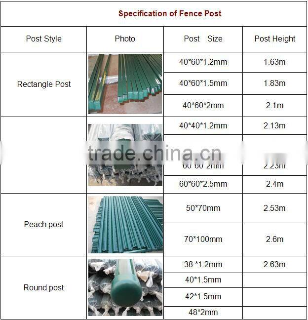 Hot Sale PVC Coated Fence