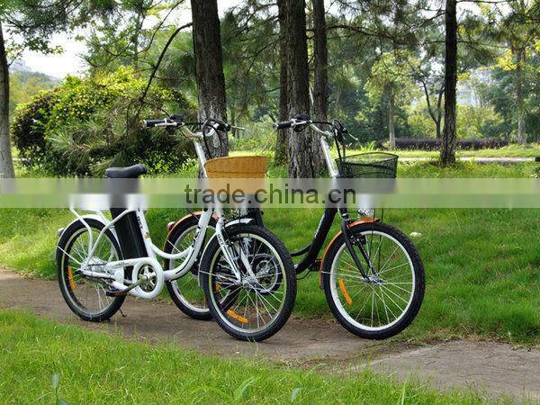 250W Cheap Steel Frame Electric Bike with EN15194 and EN14764 (EL09)