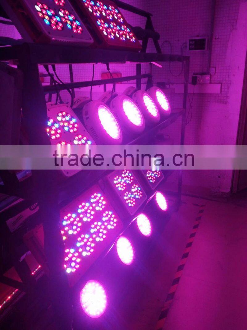 High quality apollo cob 6 led grow light for grow plant