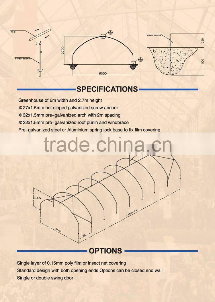 Tunnel plastic Greenhouse for agriculture low cost