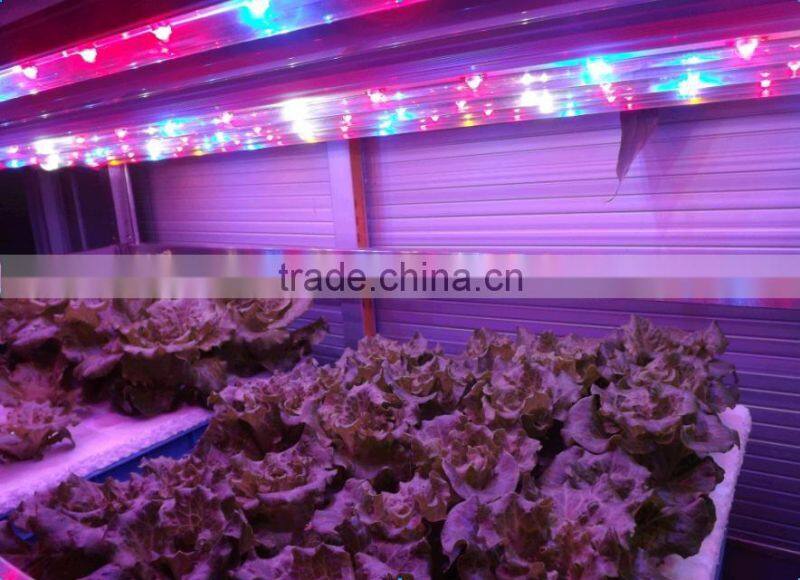 VANQLED G13 led grow lamp tube for plant factory with CE,RoHS approved,one-end plug connecting