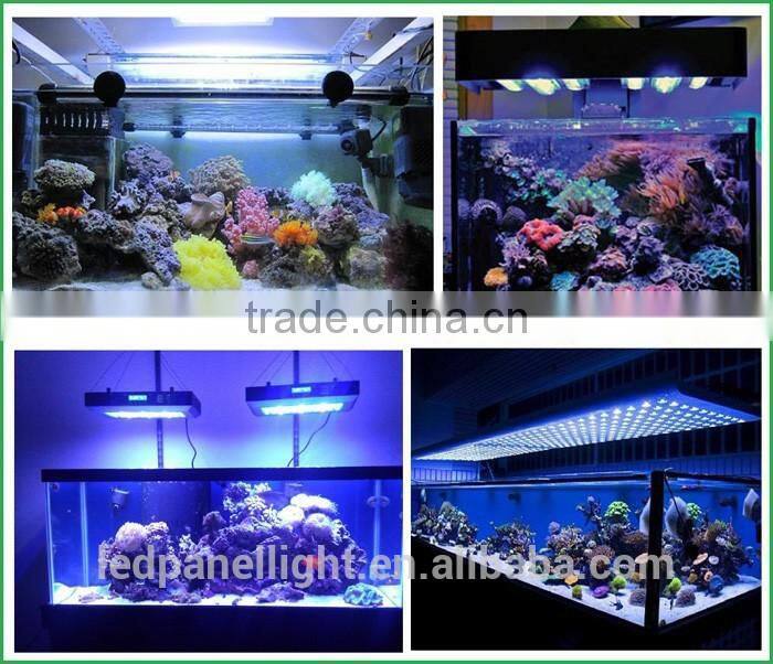 Sale in France 240w knob dimmable led aquarium lights for cora reef growthy