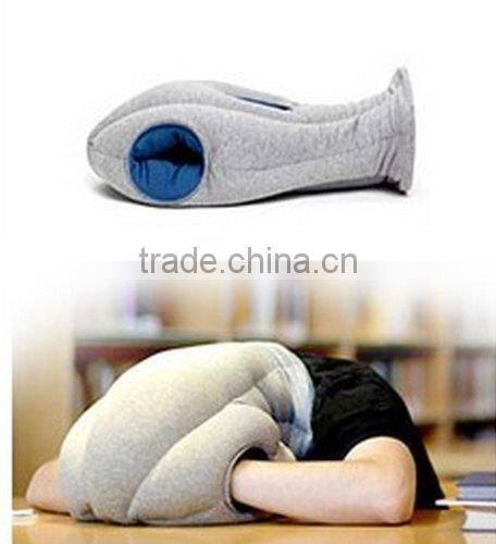 Magical Ostrich Pillow
