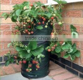 Plastic Pop Up Garden Strawberry Planter Bags With Holes