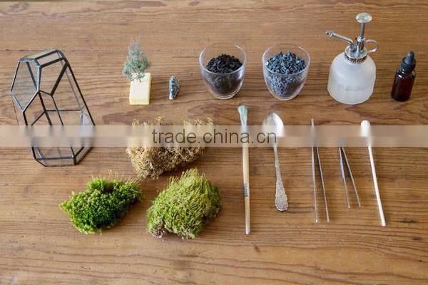 The cube shape planter,geometric glass terrarium