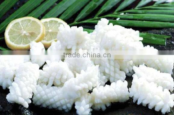 Frozen squid tube with nice quality