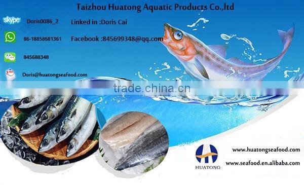 sea Frozen Loligo chinensis ,for Italy ,Greece et ,EU market