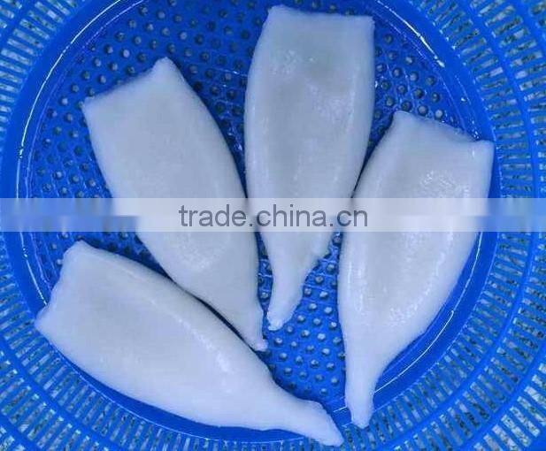 Frozen Squid Tube U5 U7 U10 IQF