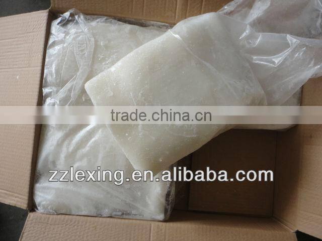 frozen giant squid fillet