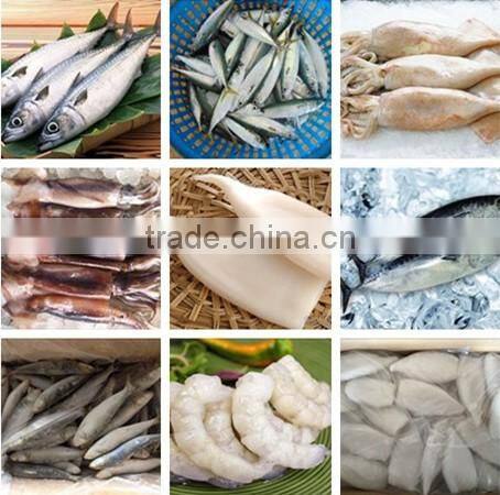 frozen whole cleaned squid Todarodes Pacificus