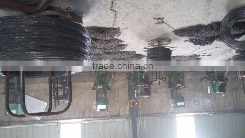 cheaper price shoe nail,factory product