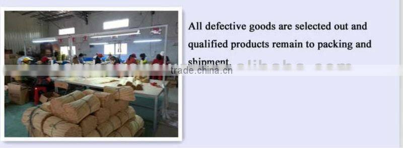 Coloured Flowersticks Decoration Plants