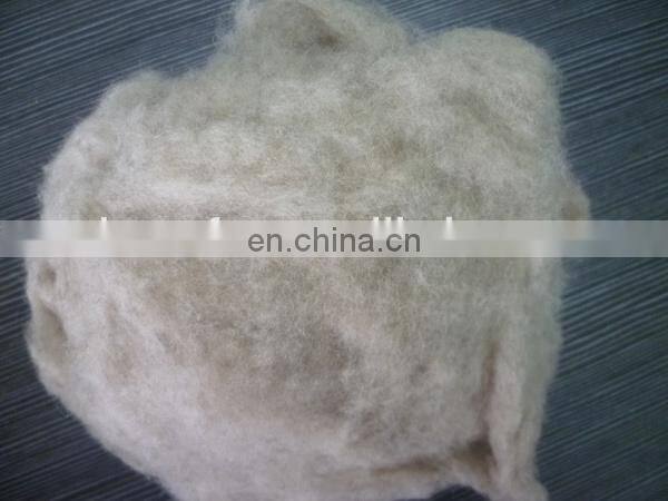 Best quality chinese scoured sheep wool price