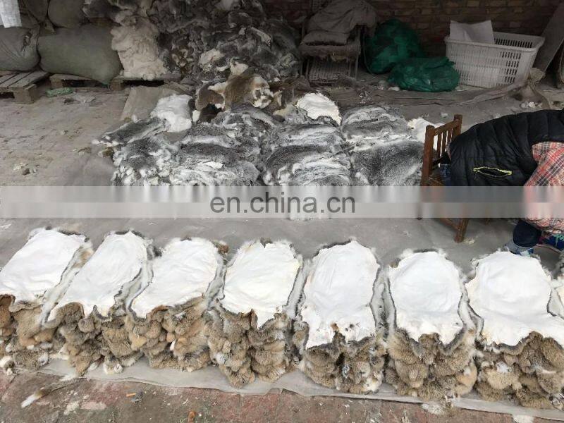 Online wholesale shop Rabbit Fur Skins and rabbit skins for plate, for Garment