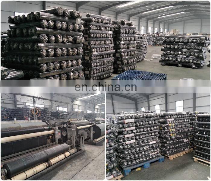 Ground Cover Net Landscape Fabric 12' Wide with holes