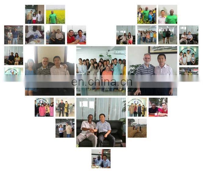 hydroponic trays fodder/animal green forage growing hydroponic breeding tray