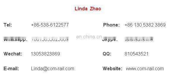 hot sale 1210849 Plunger assembly 1210849 C9