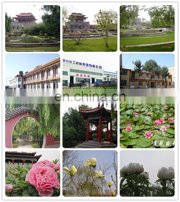 Manufacture Factory Price Dry Powder V Type Mixer Chemical Machinery Equipment Chemical Machinery Equipment