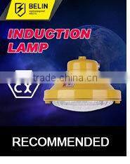 Well glass explosion proof light induction lamp SBD1109