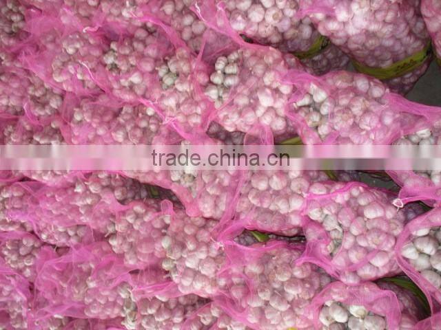 Jinxiang Garlic Normal White Fresh Garlic New Crop